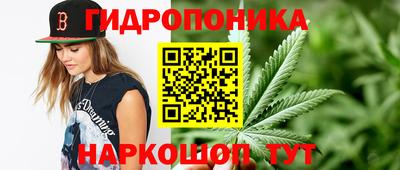 сатива Канаш
