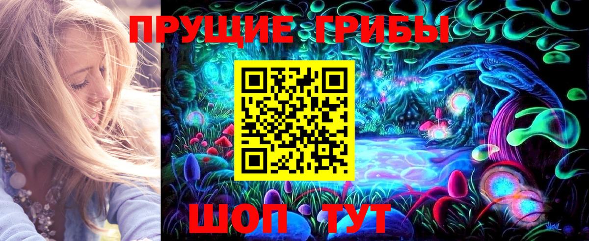 Псилоцибиновые грибы Psilocybine cubensis  Вход с VPN  цены   Курчалой 